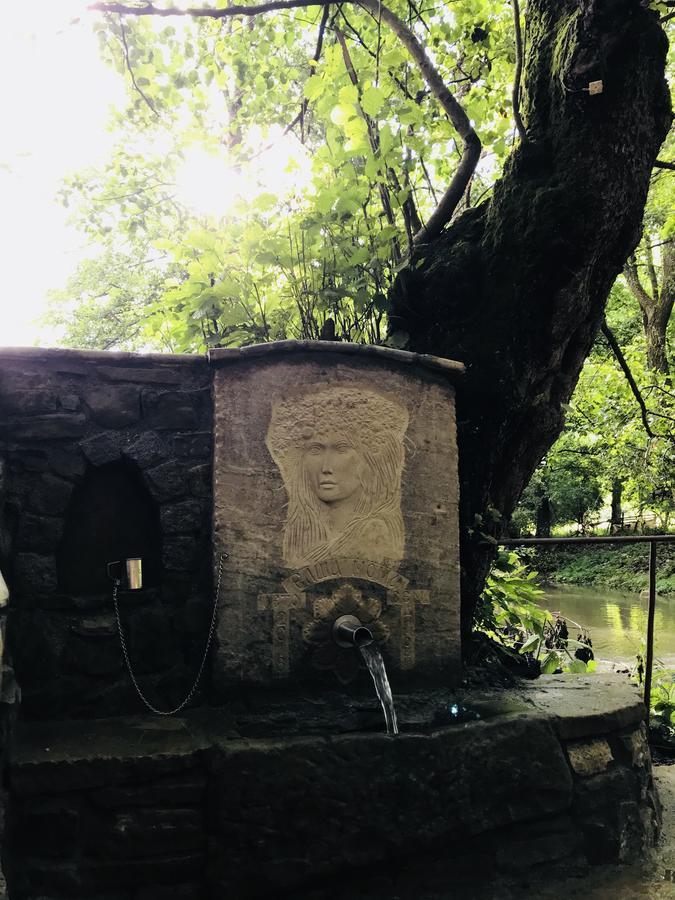 Hotel Divetsite Sliven المظهر الخارجي الصورة